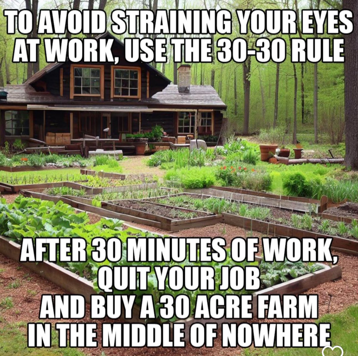 Hereafter Farms tweet media