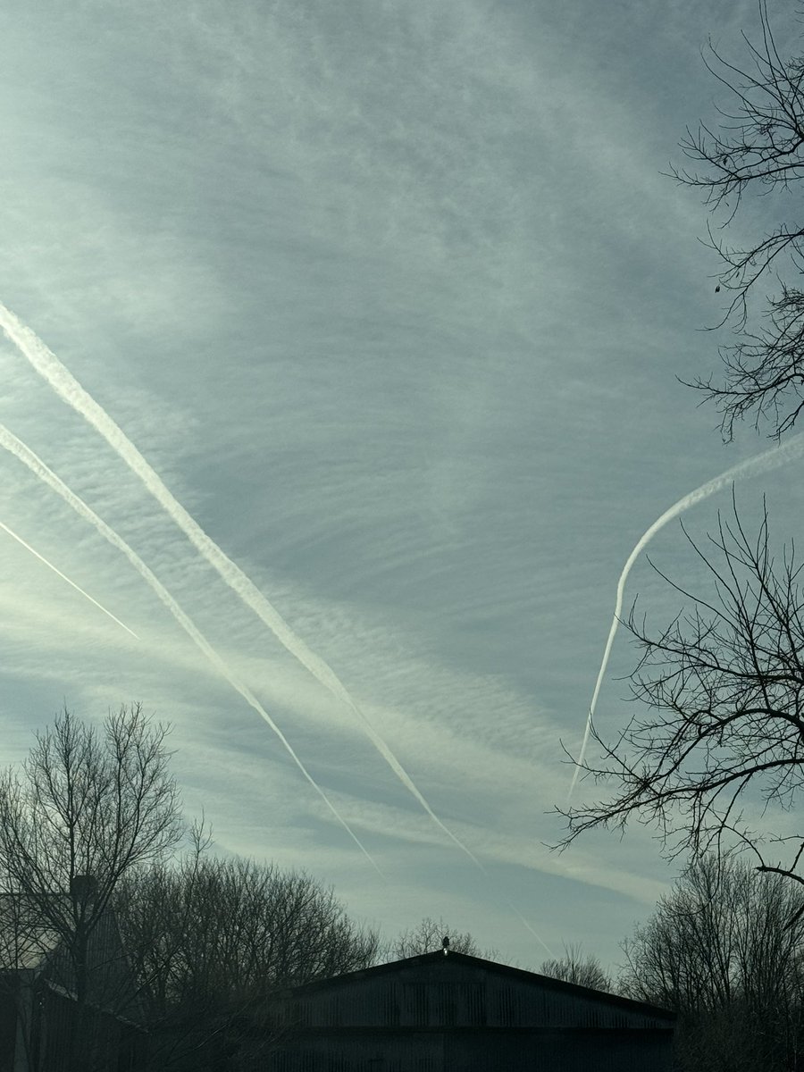 Nick Zebelian tweet media