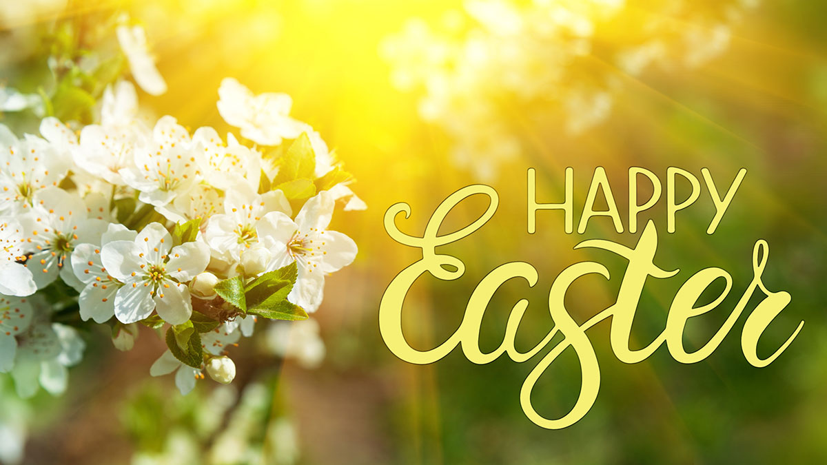 FriendsHall's tweet image. 