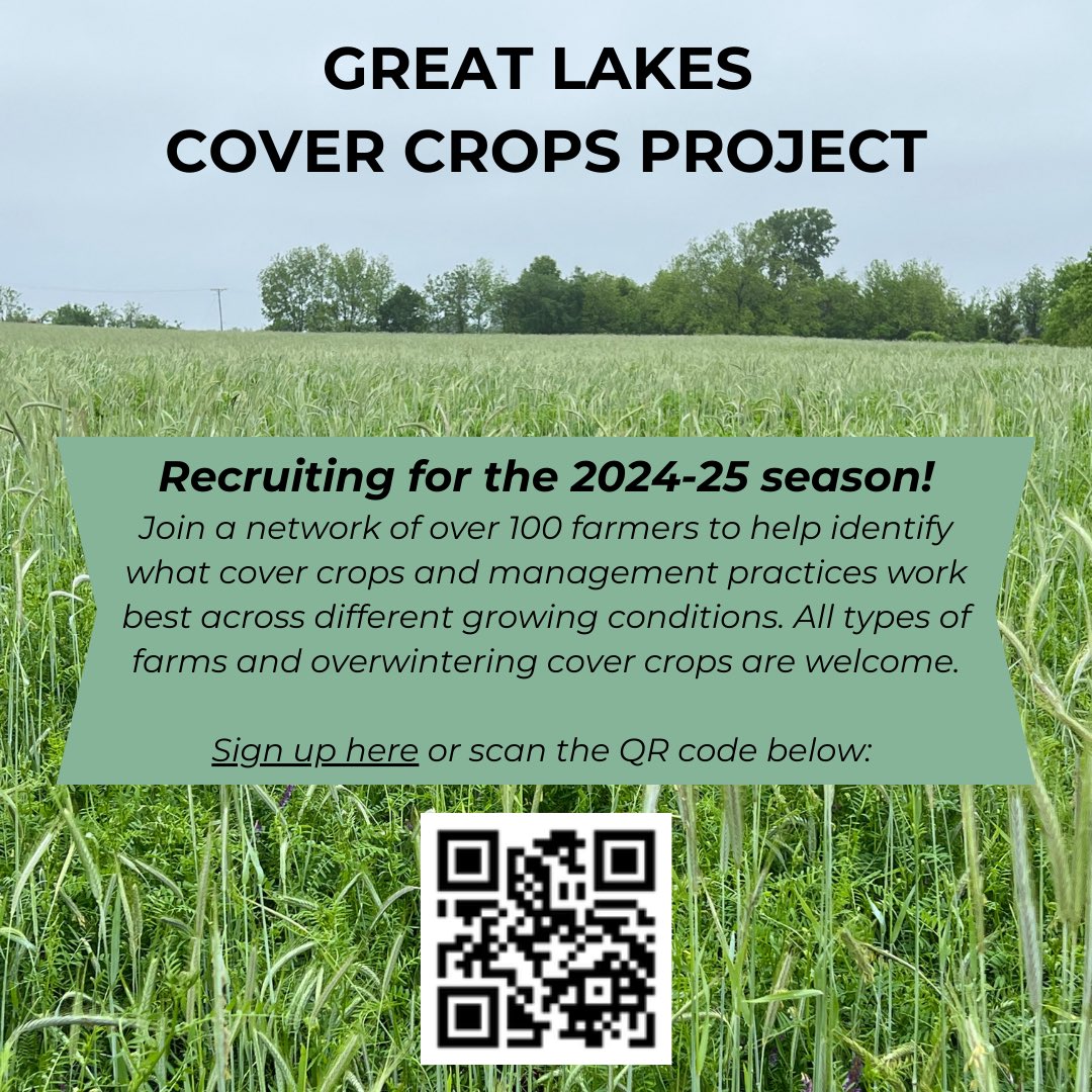 Bailey Tangen tweet media