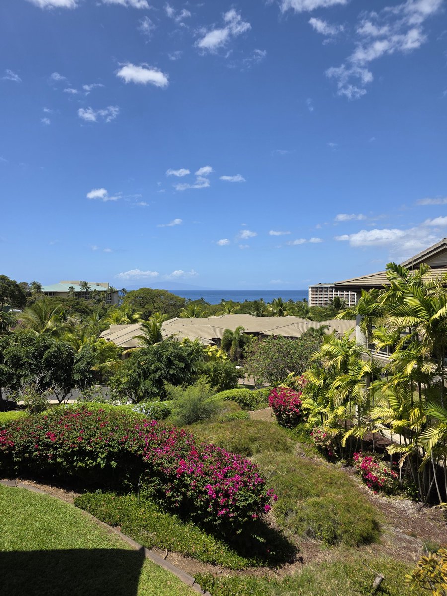 Charles Hoskinson tweet media