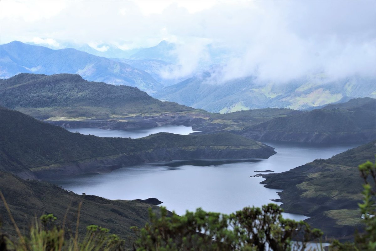 Ambientebogota tweet picture