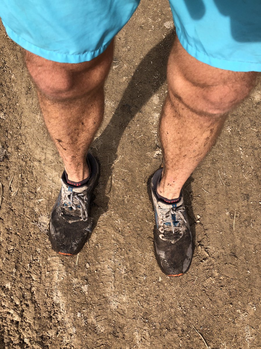 Dan 🏃🏼‍♂️🚴🏊 tweet media