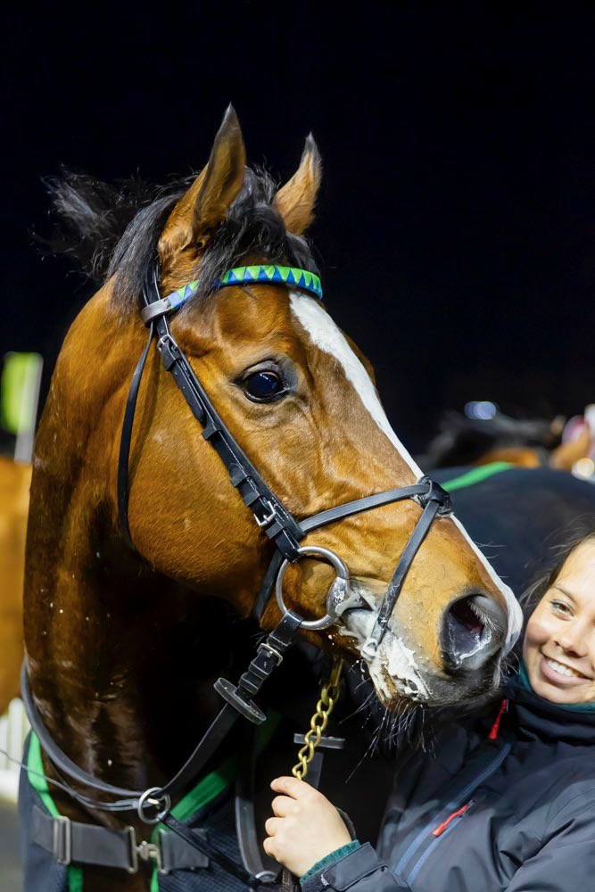 PompeyVentures's tweet photo. A super evening at @WolvesRaces.

Tuco’s win this evening boosts our strike rate for 2025 to 16% &amp; our prize money to over £40,000.

Join our winning syndicate: https://t.co/2xz26Ye2WZ https://t.co/li8G2fkbRd
