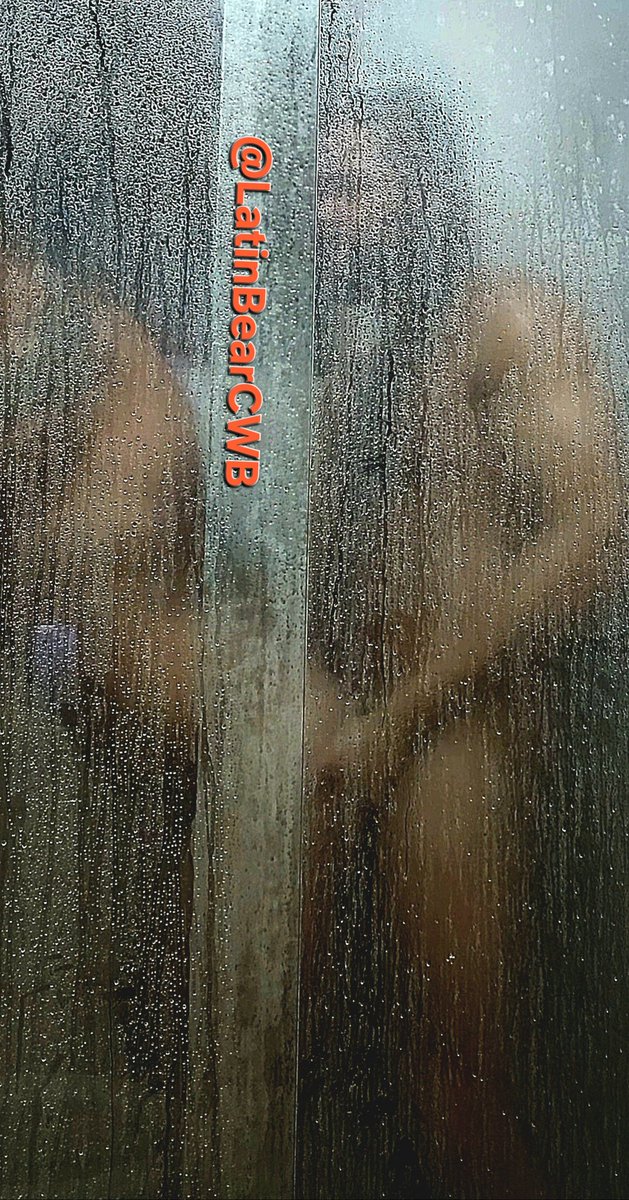 LatinBearCWB tweet media