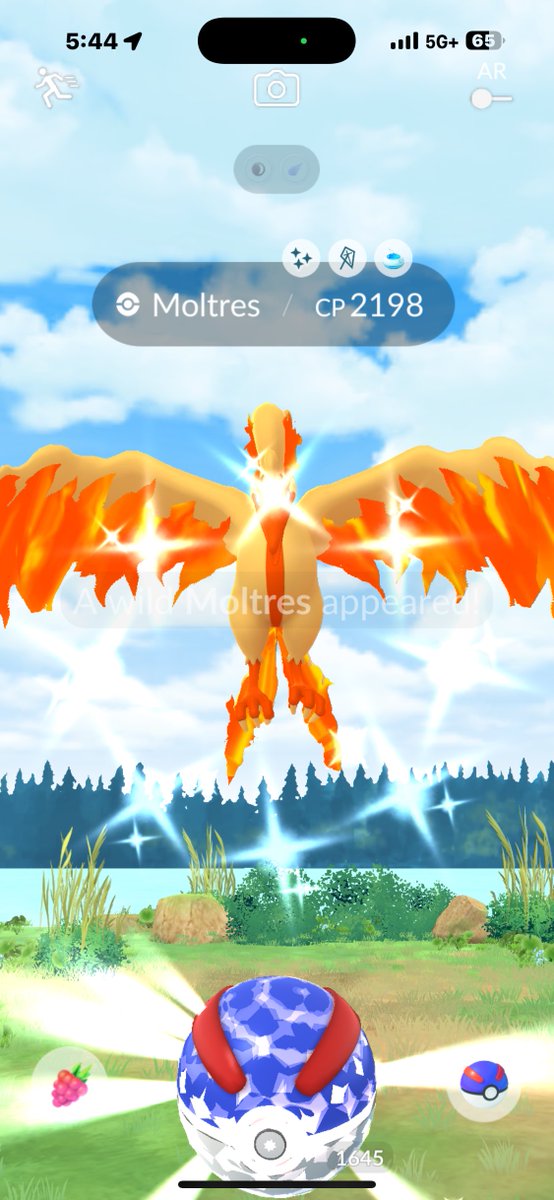 Qshinys's tweet image. OMG SHINY G MOLTRES
🐦🔥✨🧡
LETS FREAKING GOOOOO 😭😭😭😭
#PokemonGo #PokemonGoApp