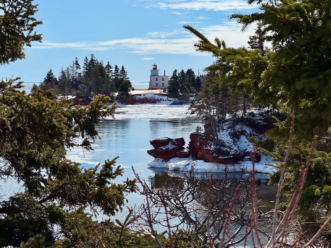 Welcome PEI tweet media