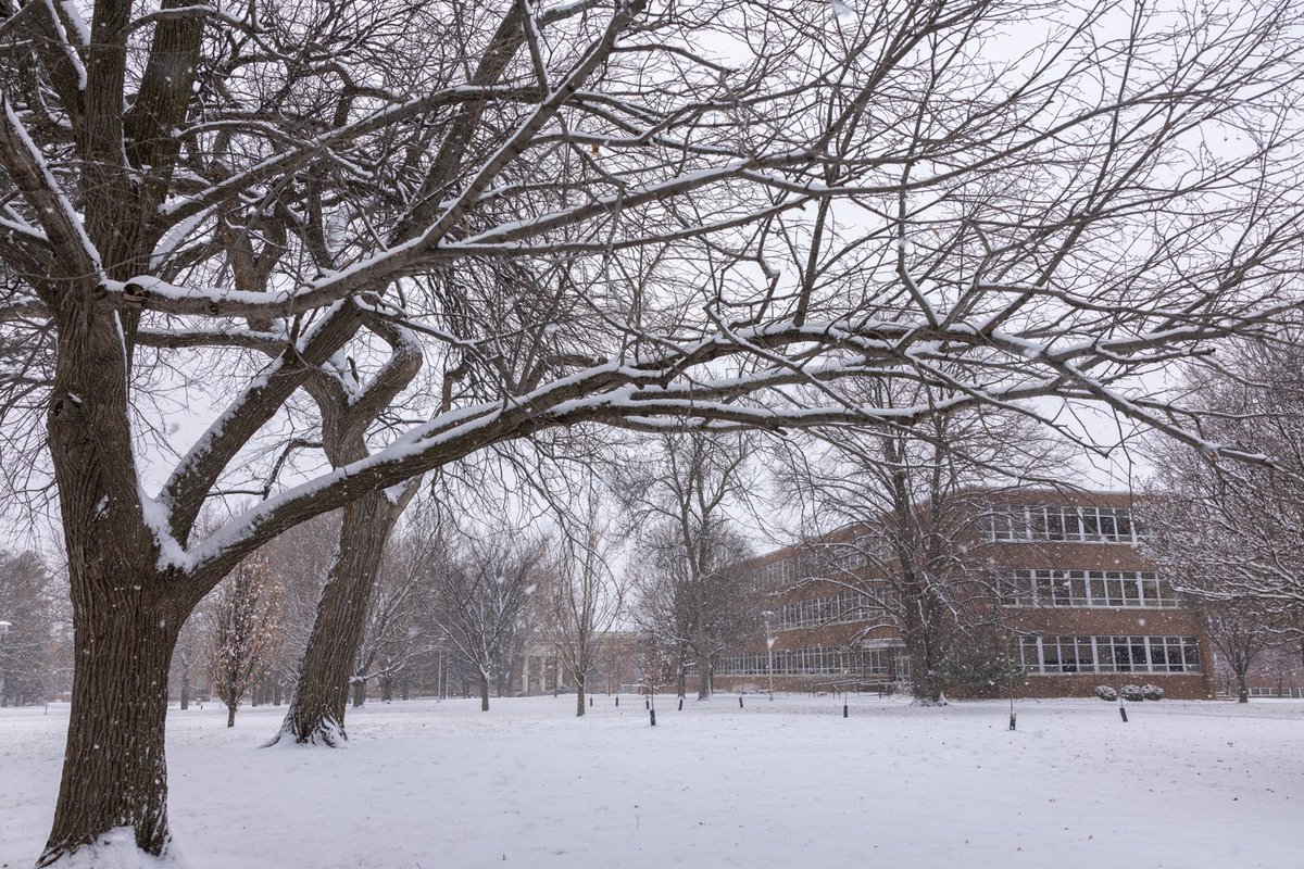SDState's tweet photo. 🚨Due to incoming winter weather, SDSU’s campus in Brookings will be closed from midnight Friday, March 14, to 8 a.m. Sunday, March 16. Only essential personnel should report to work. 📲 Check road conditions by calling 511. Stay safe, Jackrabbits! ❄️💨 https://t.co/Tpxpm6H5sK