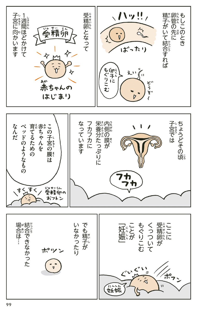 生理のしくみと、プライバシーのこと 