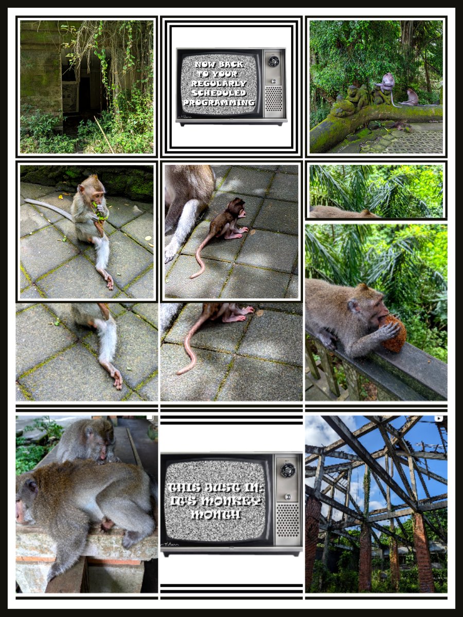 MelainaBlanc's tweet image. @Instagram How do we fix this?

Waiting for the “Adjust preview” option to appear on my account so I can use it 100+ times. Or a full-grid fix would be nice...

#InstagramGrid #FixPlease