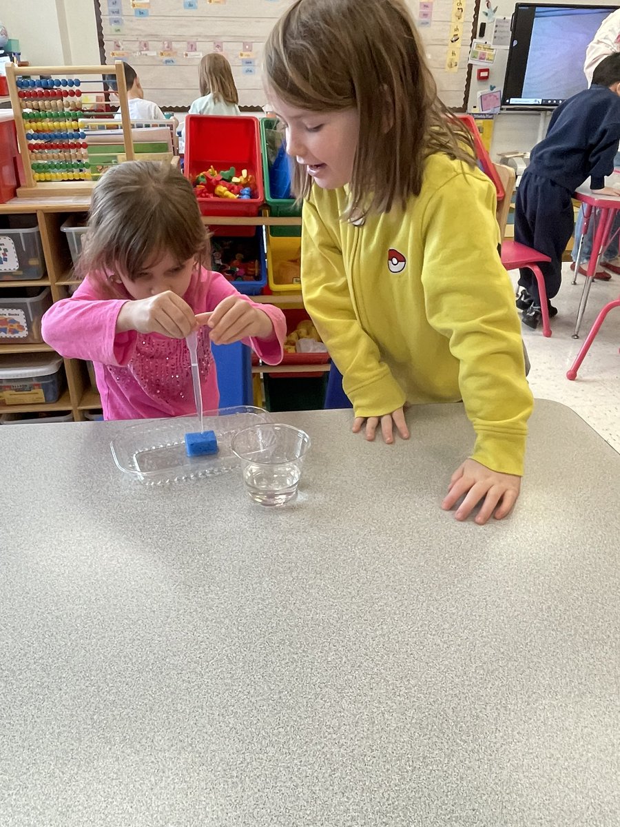 MTL_CSZumpettaK's tweet photo. Yesterday our #zumpettaszone scientists explored what would happen if too much rain fell. We discovered that the ground would not be able to absorb the water, causing a flood! 😨 @CarolinaBio #weatherandsky #dangerousweather https://t.co/et0YNaD5bn