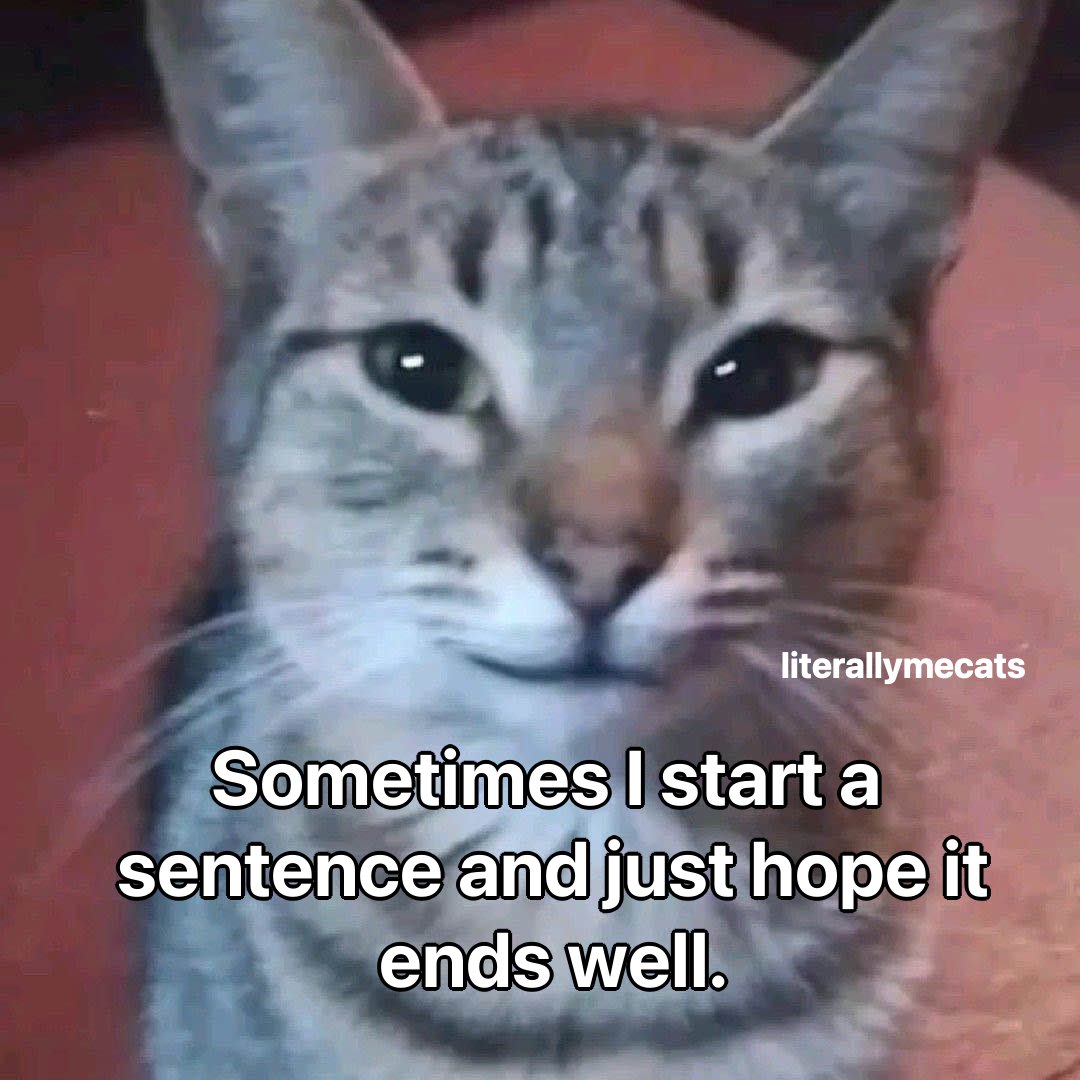 literallymecats's tweet image. 