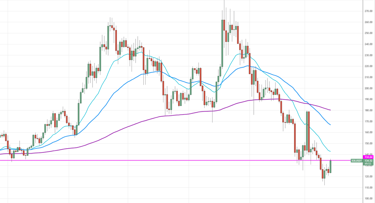 Trader Travis 🇦🇺 tweet media