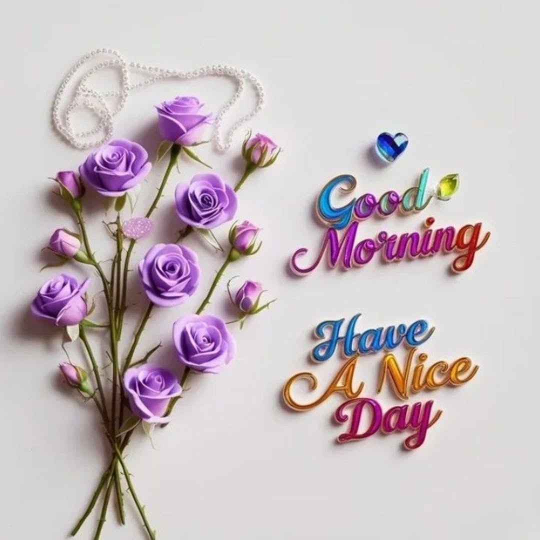 Dr. Samia tweet media
