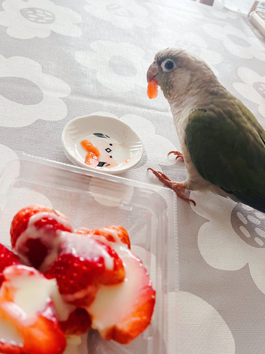 neri_urkink's tweet photo. 🍓 https://t.co/YkUg8rbyhS