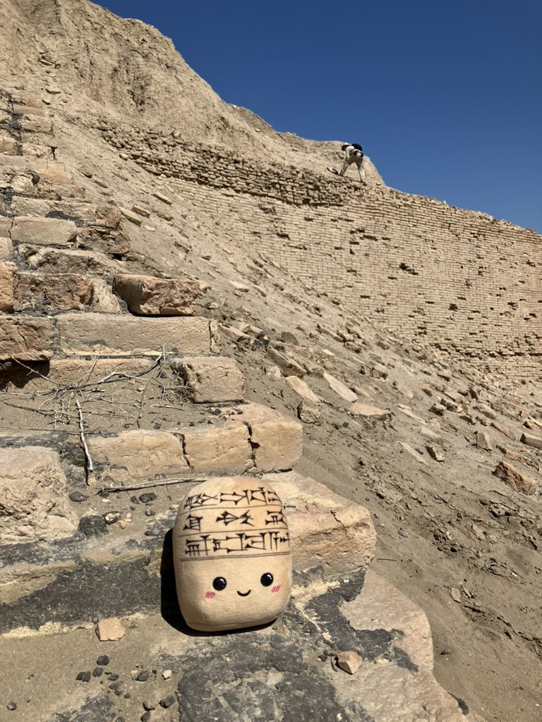 Augusta_McMahon's tweet photo. #Tuppi was still hard at work today at #Nippur recording an unusual chunk of fossiliferous limestone and helping to develop our ziggurat conservation plan. https://t.co/YV4FdU3Ls8