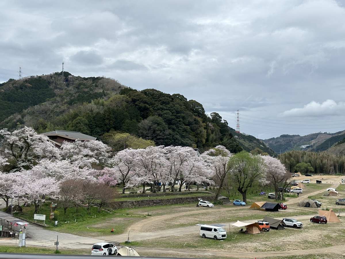 Iinecamp's tweet photo. そろそろ花見🌸キャンプの準備しよ💦
#キャンプ好きな人と繋がりたい https://t.co/CwckZY02BT