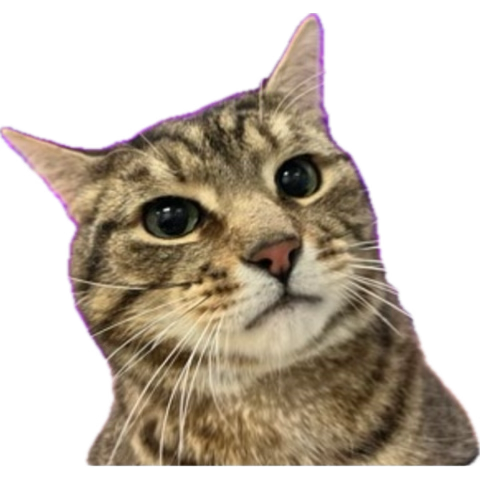 pokingstick154's tweet photo. @realgoatirl @hampoon https://t.co/z9d40noN0z
