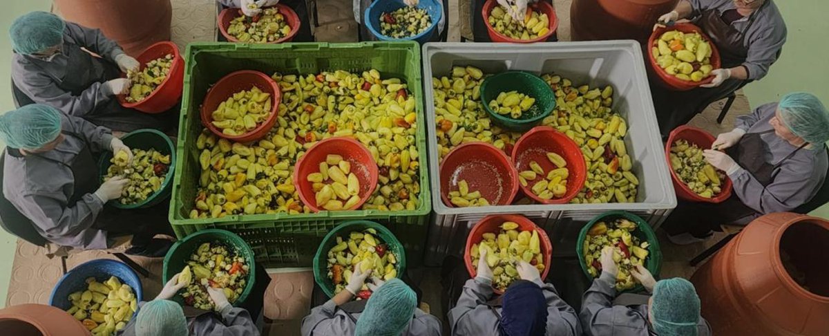 From a small garage to international markets, Women of Upper Sllatina are trailblazers of pickling success.

With a boost from <a href="/UNDP/">UN Development</a>, their approach of women supporting women has grown local farming networks &amp; led to economic freedom. 

#CSW69 

go.undp.org/3m4