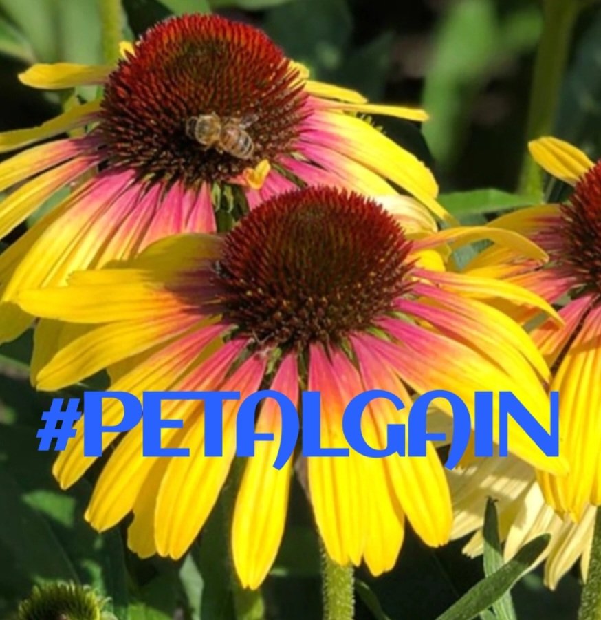 lumpie125 (@lumpie125) on Twitter photo #PETALGAIN
<a href="/swydersk/">Deb #TmPetaL🌹#Resist💙 #NeverTrump Enjoy the ride</a> <a href="/lumpie125/">lumpie125</a>
<a href="/Spencerjames211/">Spencer James #GAINWITHPETAL #TMPETAL #Teamspirit</a>
<a href="/coffee_love462/">❄️☕️Maddy - IFB☕️❄️</a>
<a href="/monicampon/">Monica 🌼</a>
<a href="/_ALESXIA/">꒰ ͜͡➸ ❤ A̫̫L̫̫E̫̫S̫̫X̫̫I̫̫A̫̫ ꒰ ͜͡➸❤</a>
<a href="/SOY_ALESXIA2/">🎀 ❥ SOY_ALESXIA2 ❥ 🎀</a>
<a href="/OlgaPart1/">˚₊· ͟͟͞͞➳❥💎 OLGA 💎˚₊· ͟͟͞͞➳❥</a>
<a href="/MoniT__/">Monica 🌸</a>
<a href="/MARTHA_CAN2/">MARTHA 👑</a>
<a href="/LauraM24960/">LAURA 👑</a>
<a href="/MirnaVernal/">👑 MIRNA 🛍🛍</a>
<a href="/mgor2021/">🆁🅾🅱🅴🆁🆁🅾🆄🅰</a>
<a href="/NlHILIST/">🎩LORD NIHILIST♪ IFB ALL: UNFOLLOW=BLOCK</a> <a href="/DALIHAH_/">꧁•❥ 💙ᗪ卂ㄥ丨卄卂卄_❥ 💙꧂</a>
@ME_TRC
<a href="/MARTHAMUSSY/">⚘MARTHA MUSSY ⚘</a>
<a href="/GRAHAM15583/">🅶🆁🅰🅷🅰🅼</a>
<a href="/CLARABENZA/">👠🛍️ CLARA 🛍️👠</a>
<a href="/nuvisionquestt3/">🦅NU_VISION_QUEST_TYPE3🏹</a>
<a href="/Siogo61/">@siogo61</a> <a href="/bluea125/">BlueA125</a> #PETALGAIN
<a href="/swydersk/">Deb #TmPetaL🌹#Resist💙 #NeverTrump Enjoy the ride</a> <a href="/lumpie125/">lumpie125</a>
<a href="/Spencerjames211/">Spencer James #GAINWITHPETAL #TMPETAL #Teamspirit</a>
<a href="/coffee_love462/">❄️☕️Maddy - IFB☕️❄️</a>
<a href="/monicampon/">Monica 🌼</a>
<a href="/_ALESXIA/">꒰ ͜͡➸ ❤ A̫̫L̫̫E̫̫S̫̫X̫̫I̫̫A̫̫ ꒰ ͜͡➸❤</a>
<a href="/SOY_ALESXIA2/">🎀 ❥ SOY_ALESXIA2 ❥ 🎀</a>
<a href="/OlgaPart1/">˚₊· ͟͟͞͞➳❥💎 OLGA 💎˚₊· ͟͟͞͞➳❥</a>
<a href="/MoniT__/">Monica 🌸</a>
<a href="/MARTHA_CAN2/">MARTHA 👑</a>
<a href="/LauraM24960/">LAURA 👑</a>
<a href="/MirnaVernal/">👑 MIRNA 🛍🛍</a>
<a href="/mgor2021/">🆁🅾🅱🅴🆁🆁🅾🆄🅰</a>
<a href="/NlHILIST/">🎩LORD NIHILIST♪ IFB ALL: UNFOLLOW=BLOCK</a> <a href="/DALIHAH_/">꧁•❥ 💙ᗪ卂ㄥ丨卄卂卄_❥ 💙꧂</a>
@ME_TRC
<a href="/MARTHAMUSSY/">⚘MARTHA MUSSY ⚘</a>
<a href="/GRAHAM15583/">🅶🆁🅰🅷🅰🅼</a>
<a href="/CLARABENZA/">👠🛍️ CLARA 🛍️👠</a>
<a href="/nuvisionquestt3/">🦅NU_VISION_QUEST_TYPE3🏹</a>
<a href="/Siogo61/">@siogo61</a> <a href="/bluea125/">BlueA125</a>