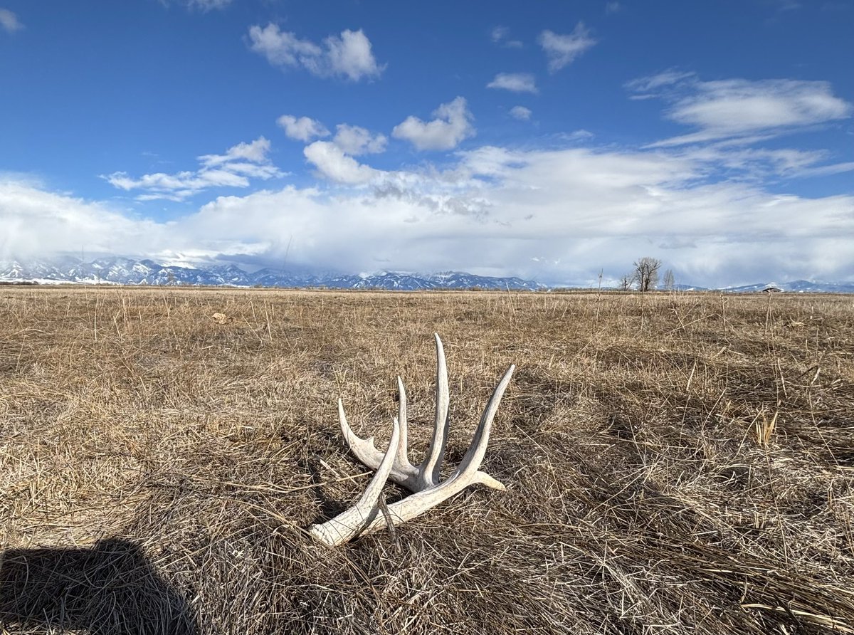 What do you say friends? Pretty good view..??