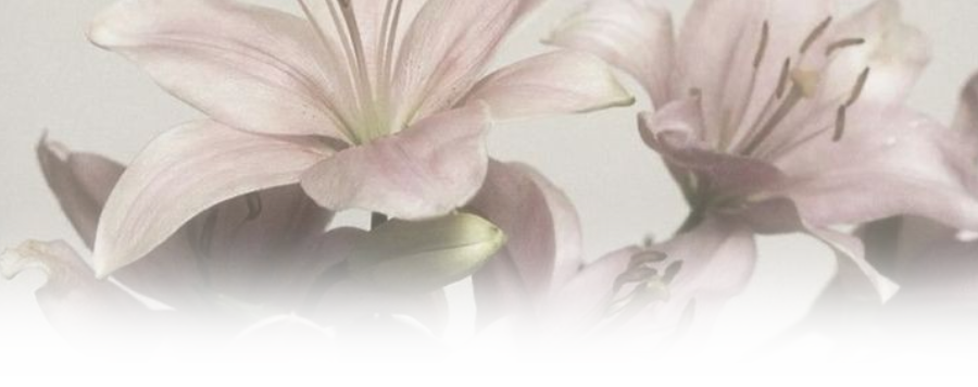 ᅠᅠᅠᅠᅠᅠᅠᅠᅠ
            ۡ         𝒽ave you ever tried to e꯭at 
                       a pomegranate gently?   ׂ      
ᅠᅠᅠᅠᅠᅠᅠᅠᅠ