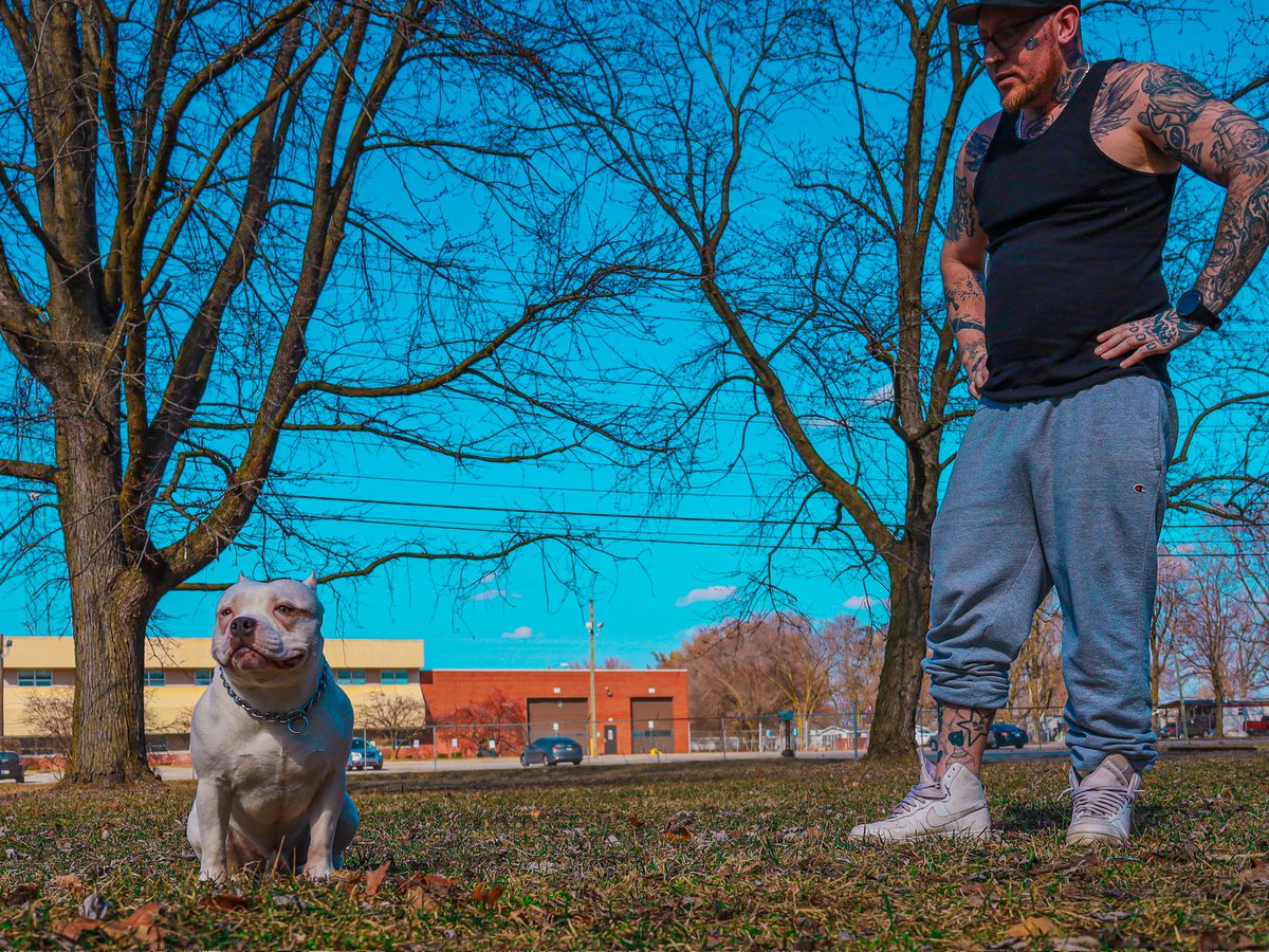 EasyMoneyEdits's tweet photo. When a CERTAIN DOG doesn't want to cooperate for pictures, this is what u end up with...

#getbuffbullys #STAX #bully #americanbully #DOG #dogsofX https://t.co/36gKkgHwlz