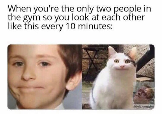 breitng1's tweet photo. 🤣🤣

#meme #Memes #gym #Fitness #EclipseLunar #JISOO #DiaryOfAVagabond #THAIchaynon #RespectVietnamFans #gymlife https://t.co/y0VE3Wukr2