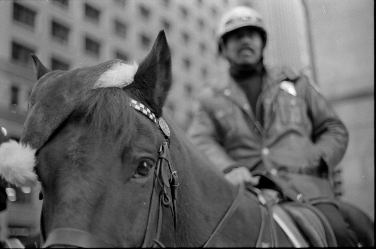 itsbarry's tweet photo. Mounted cop https://t.co/4tZNpTqxLn