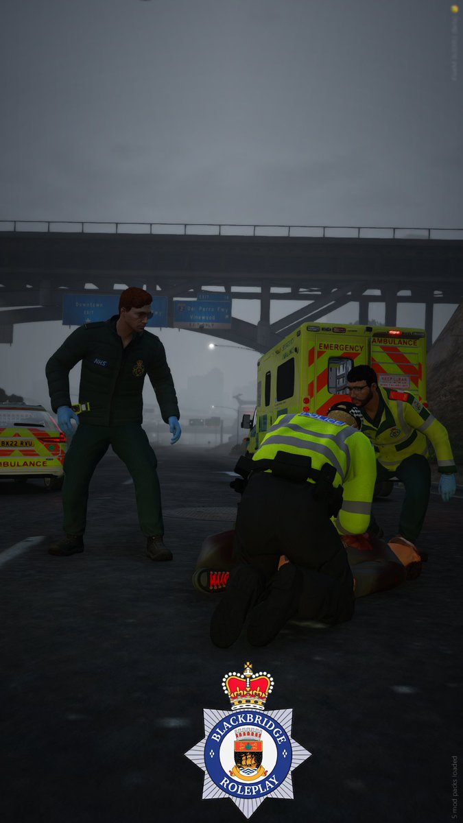 costly6888's tweet photo. Today, I was crewed as #Alpha234 at @BlackbridgeRPC and responded to a variety of incidents, including:
🎯 Elderly fall
🎯 Cardiac arrest
🎯 Diabetic episode
🎯 Fall from height
#Fictional #BlackbridgeRPC https://t.co/MDRRl4XdG7