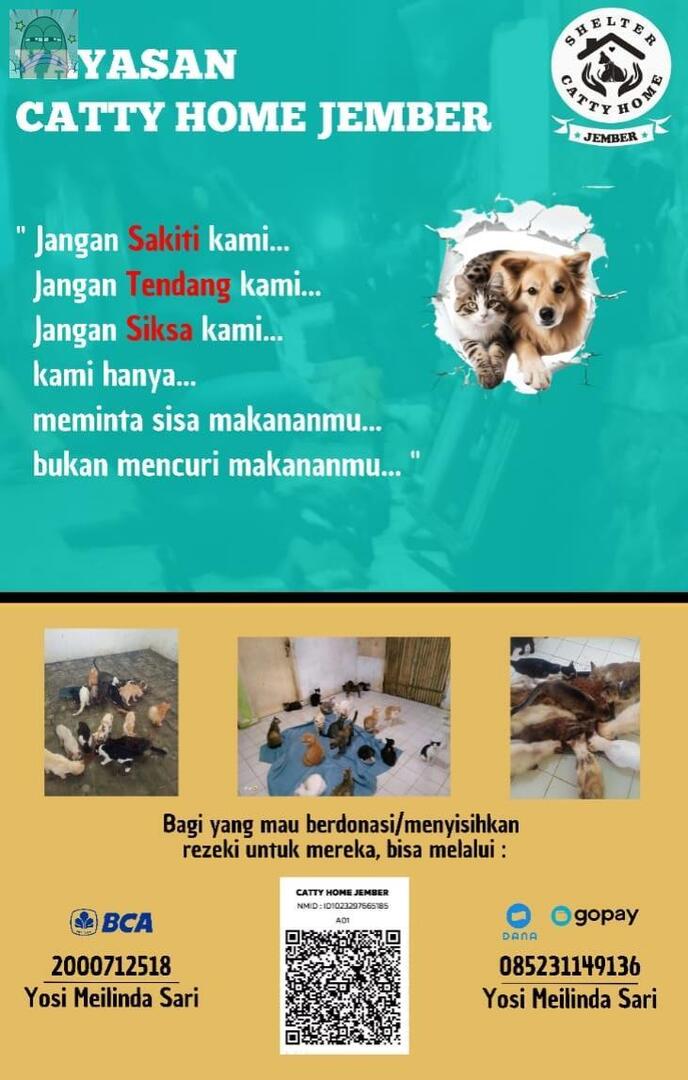 URGENT‼️🆘🆘
PLEASE BANTU SHARE N DONASI YA SAHABAT 
.
Urgent bantu patungan seikhlasnya yuk untuk beli pakan kucing dna anjing yang ada di shelter,
.
Teman" juga bisa bantu larisun jualan kami yaa. 
.
Berkah Ramadhan bantu kami seikhlasnya yaa terimakasih tanyarl