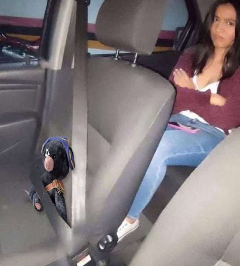 My view when driving home from Epic Universe.