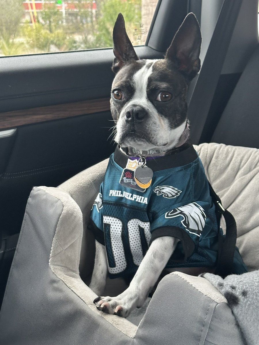 rasbuten66's tweet photo. Jersey says she would love to be here at the concert! #bscharleston https://t.co/hWRpBwvKxP