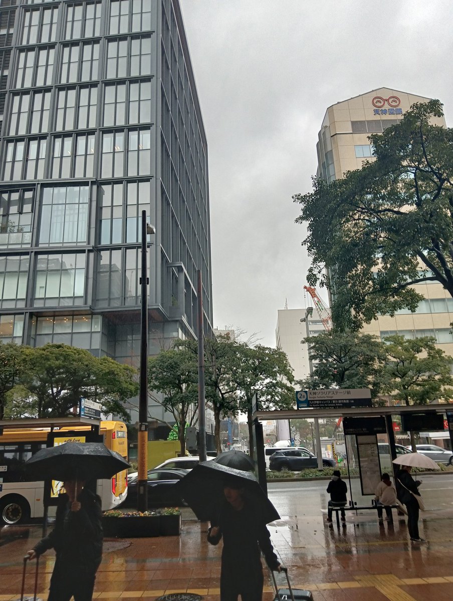 Y08495703's tweet photo. 今日は雨〜 https://t.co/BnuUVi7gfp