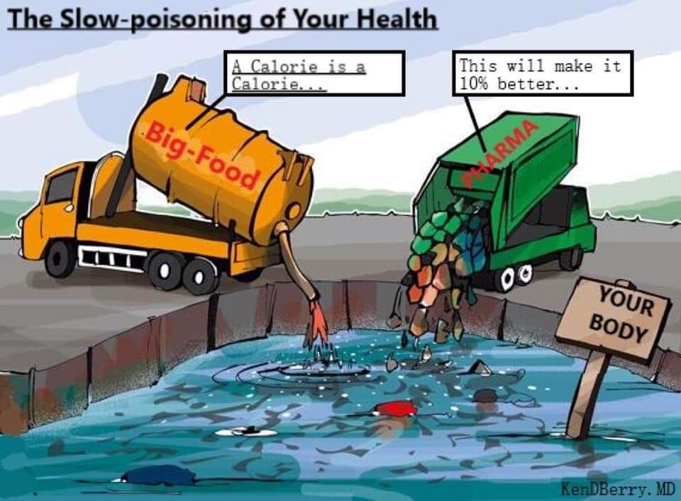 The food and pharmaceutical industries in the U.S. exert enormous influence on public health and official policy. Big Food and Big Pharma have been collaborating for years to create the most profitable situation for both of them at the expense of Americans' health.

We deserve