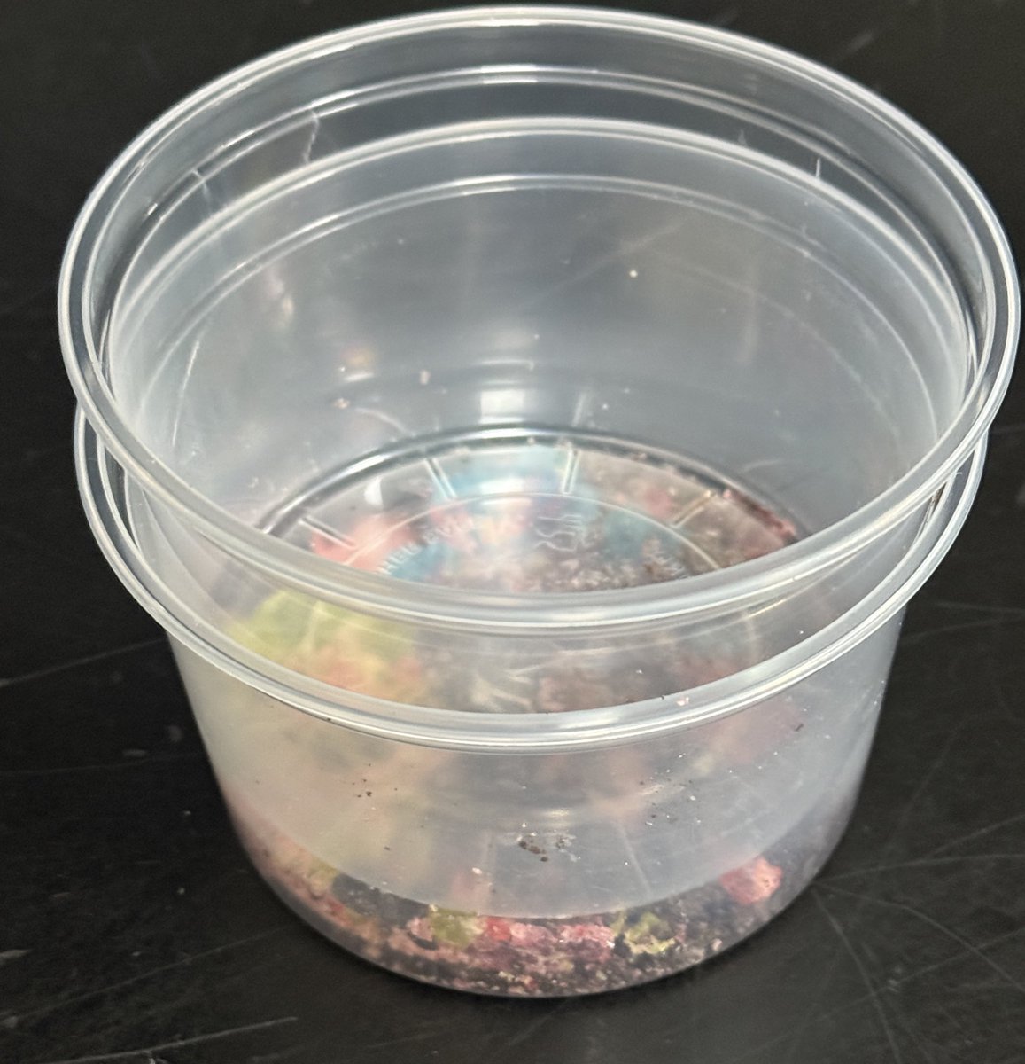 shobica_wadhwa's tweet image. We had an amazing time using pieces of hard candy to model how sediments form rocks. It was definitely hard to resist the students eating one of their favorite candies.@Amplify #RockTransformations #compaction #cementation #Sediments #FunFriday