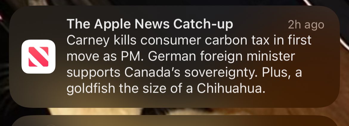 mxmul's tweet photo. really burying the lede here https://t.co/S0MTTyiV2W