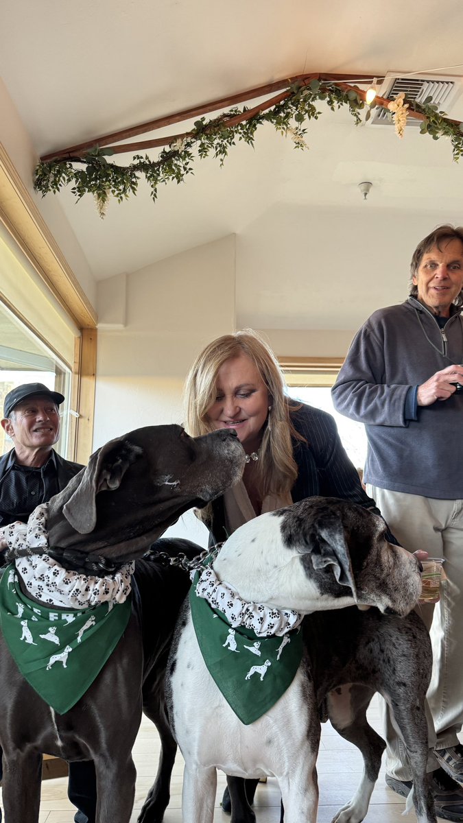 Great event today in Boulder, Colorado, the annual BIFF - Boulder International Film Festival. Opening night follow The Friends movie premiere! The Great Danes were the guests here too!
#bouldercolorado #BIFF #gala  #friday #FridayVibes #greatdanes #thefriendsmovie