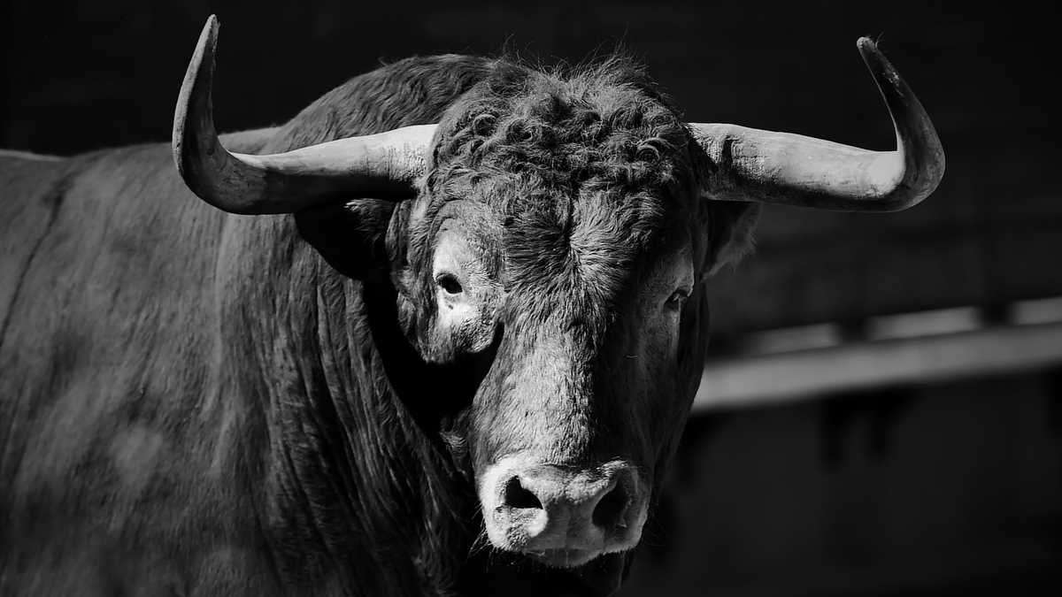 DREAD BONGO tweet media