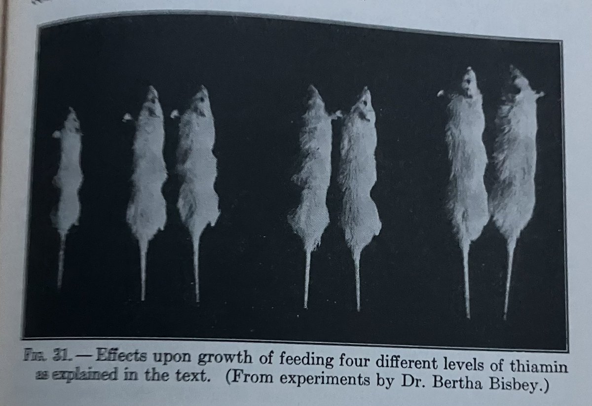 iamjustapeater's tweet photo. Four different groups of rats were given varying amounts of thiamine. The group given the most thiamine had a much higher rate of growth. https://t.co/RTcdEoWvxe