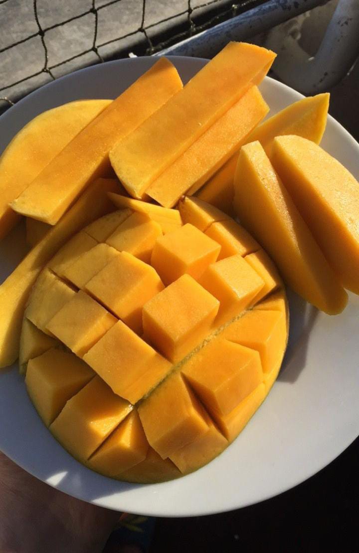 memeeetjawa's tweet photo. Setuju ga, buah mangga buah paling enak? https://t.co/sJ2RElBtgY