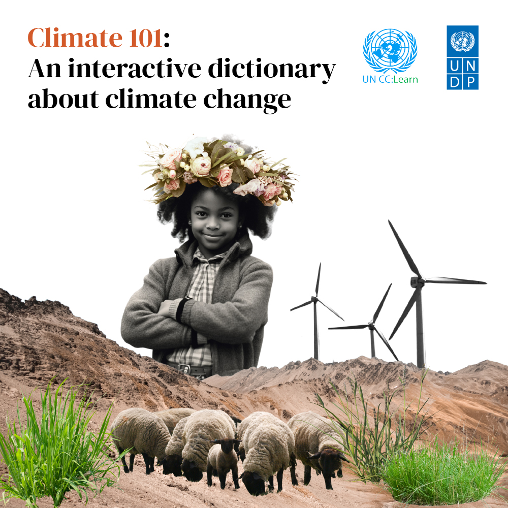 ASteiner's tweet photo. Climate change terminology can be confusing and overwhelming to many. 

Now, with @uncclearn support, @UNDP’s #ClimateDictionary has become an online interactive course.

See climate terms in action and learn through play using Climate 101 now: https://t.co/wzoQgHmJco https://t.co/gfyjpbr6pg