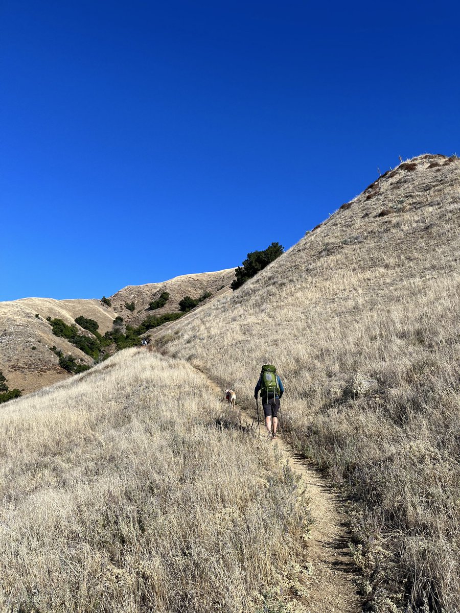 Flashback to happy trails in Big Sur