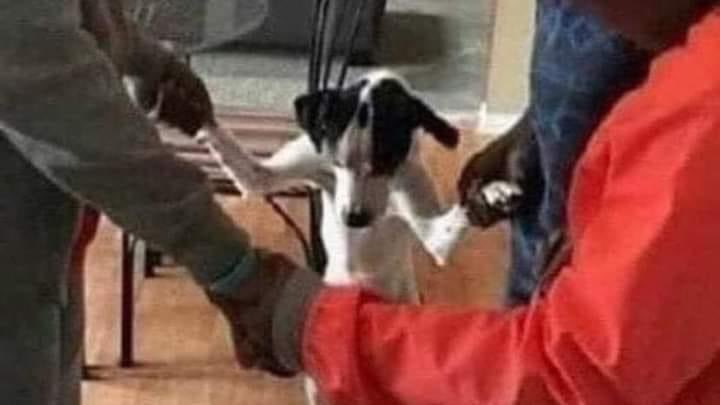 perseoanaklusmo's tweet photo. Yo y el fandom de Percy Jackson en estos momentos con Nico di Angelo confirmado https://t.co/Ns7gyDESWU