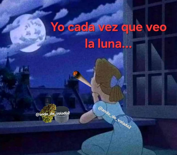 🌚💨