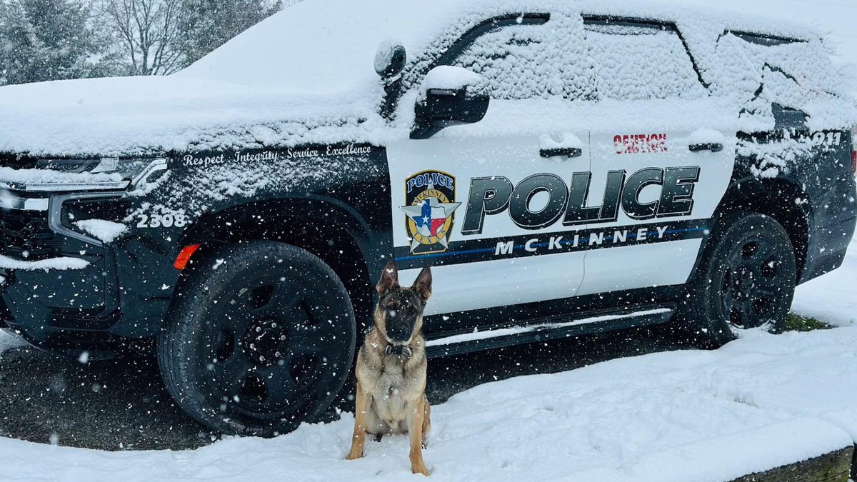 Following the loss of <a href="/McKinneyPolice/">McKinney Police</a> K-9 Azi, the Guns &amp; Hoses Foundation has established a benevolence fund, with all proceeds going toward funding a new member of the McKinney K-9 unit. Thank you for your honor and bravery, Azi.💙❤️💙❤️

gunsandhosesnorthtx.org/donate