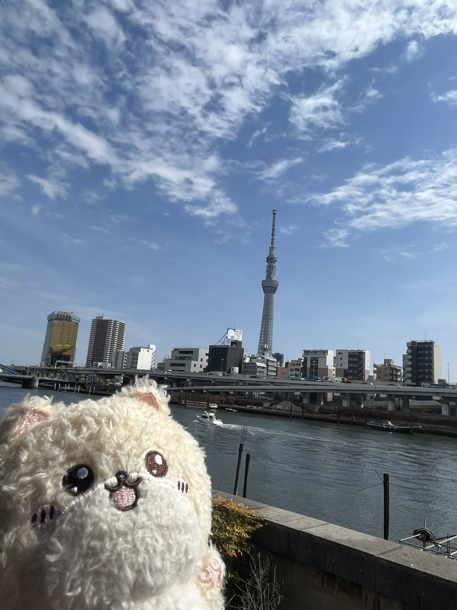 感謝祭会場の内見🐶✨