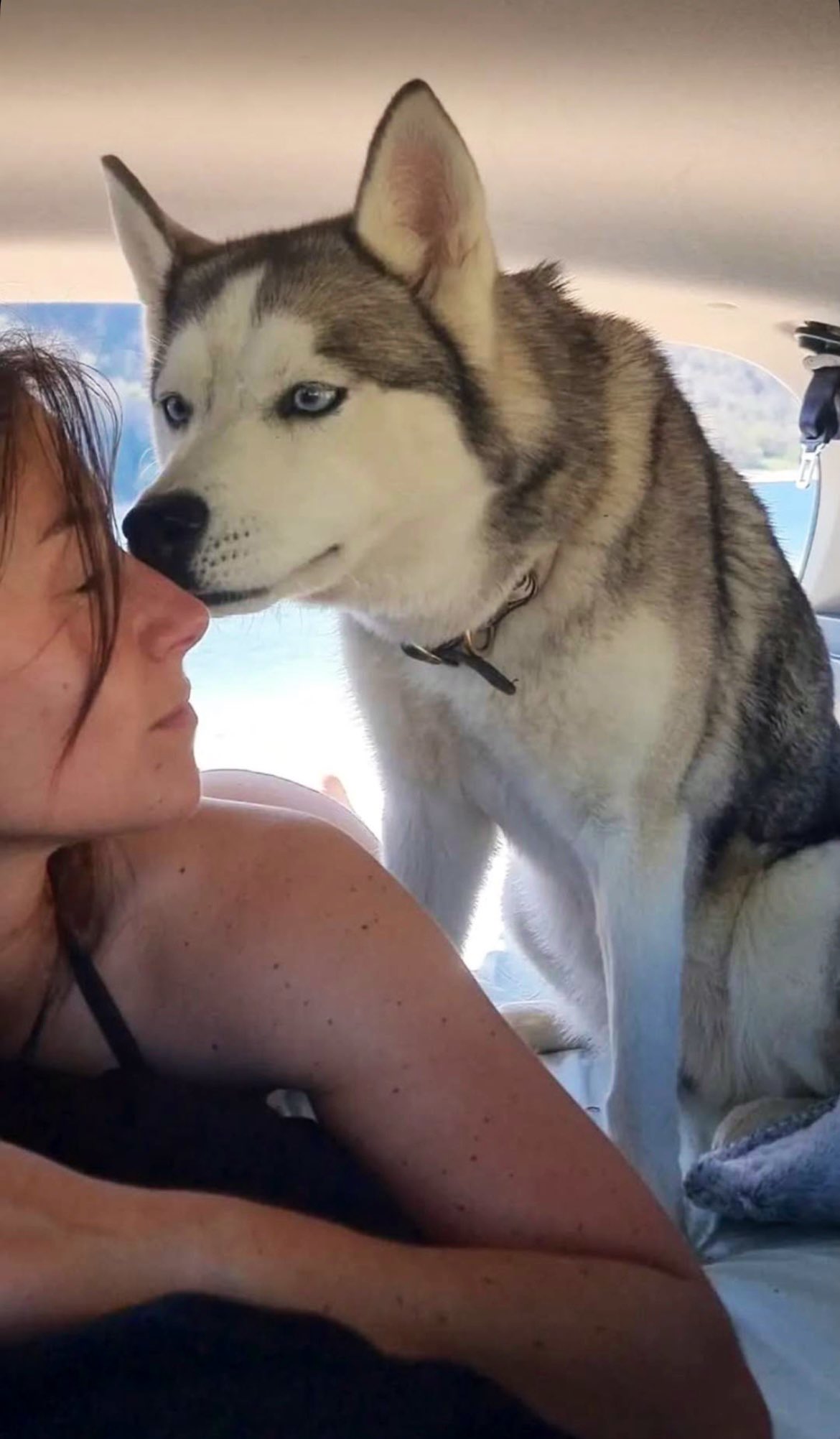 zooporn 