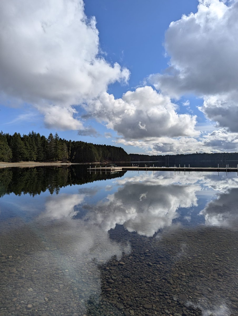 Jonathan R. Rose tweet media