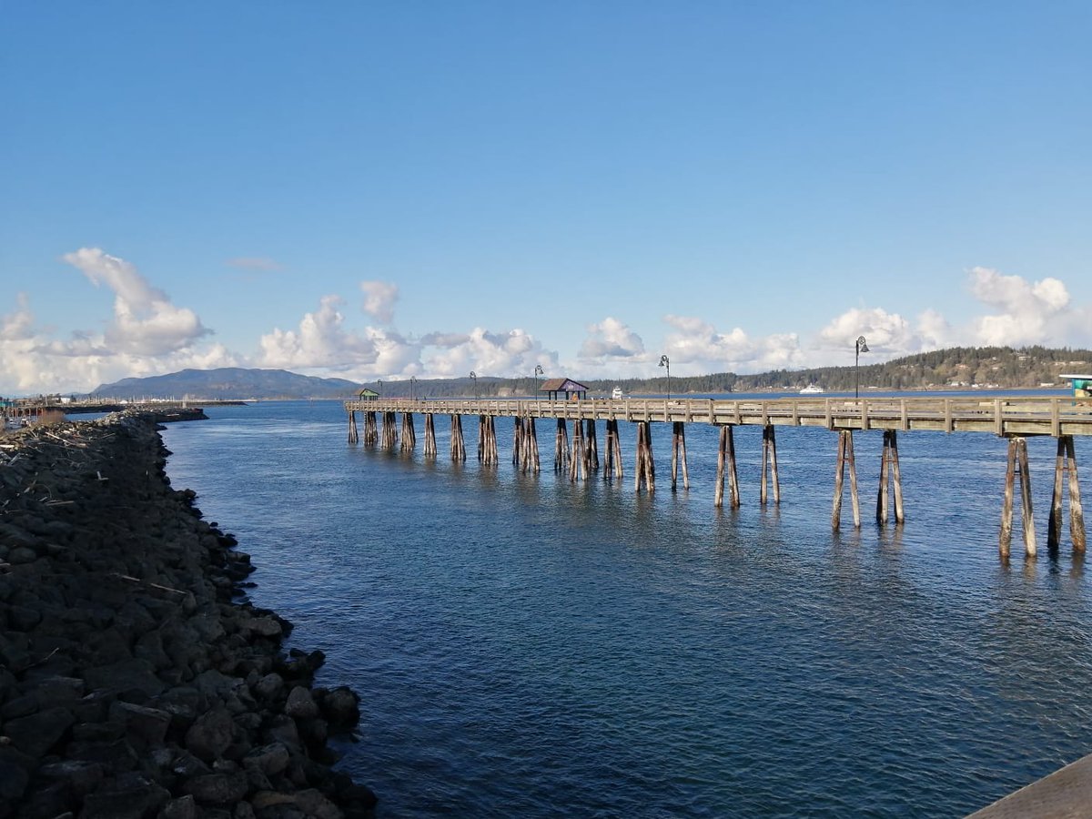 Jonathan R. Rose tweet media